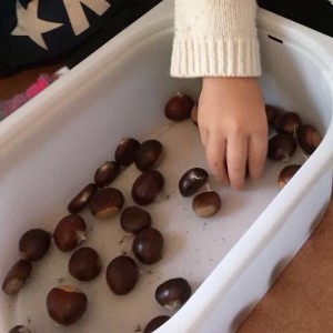 Castagne